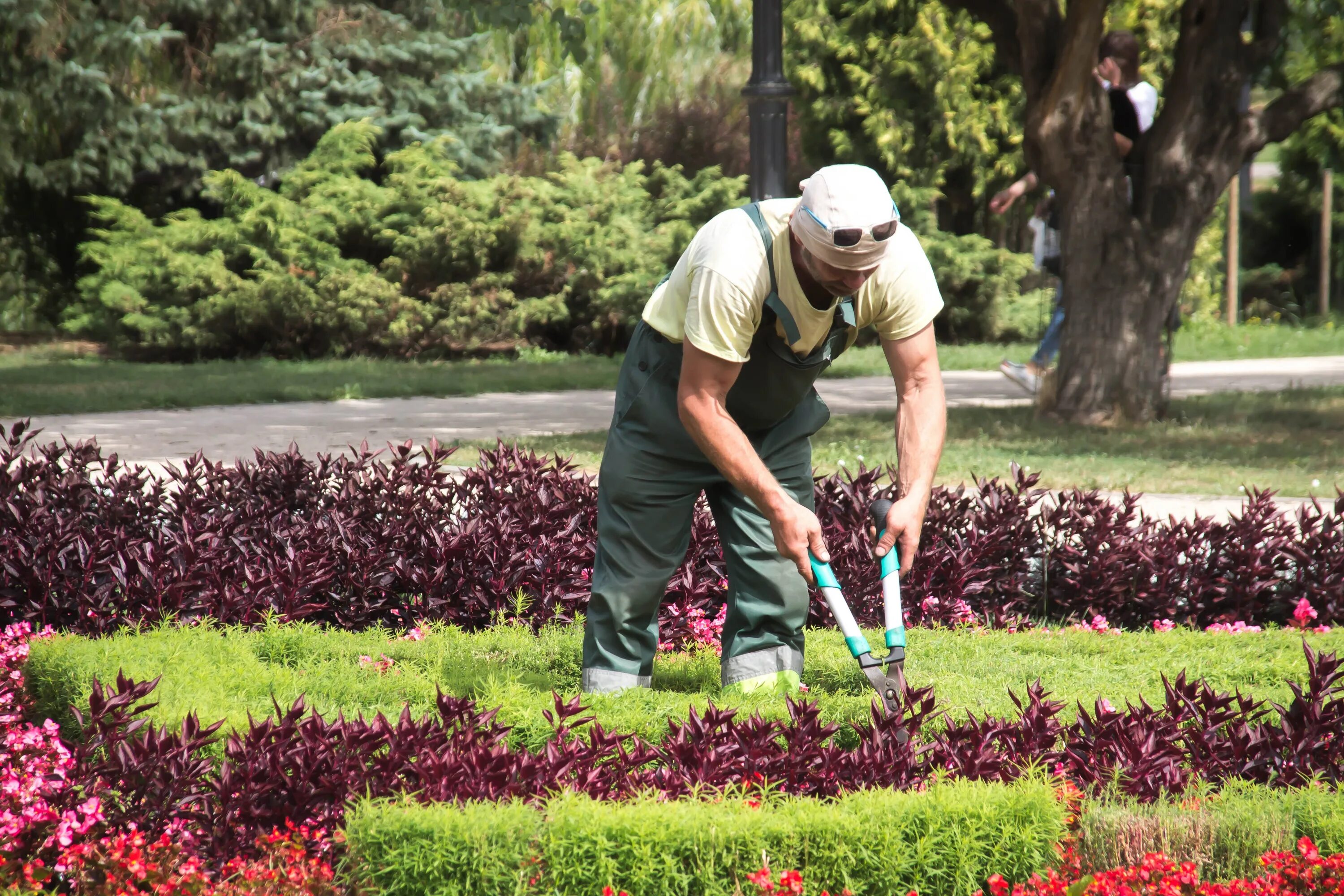 Садовник. Садовник в саду. Садовник ландшафтный дизайнер. Стрижка газона. The gardener planted some