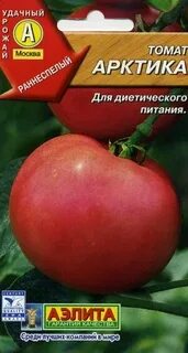 Арктический томат описание