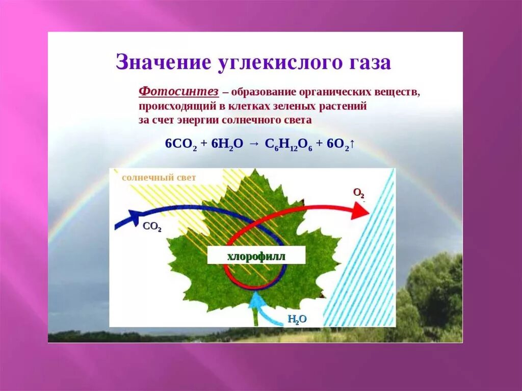 Как можно использовать углекислый газ. Роль углекислого газа. Образование углекислого газа в природе. Применение углекислого газа кратко. Схема углекислого газа.