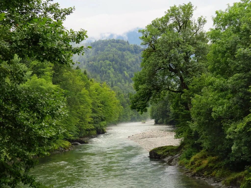 Река кубань адыгея. Речка кубань карачаево черкессия. Исток реки кубань в краснодарском крае. Река маруха карачаево-черкесии. Река кубань.