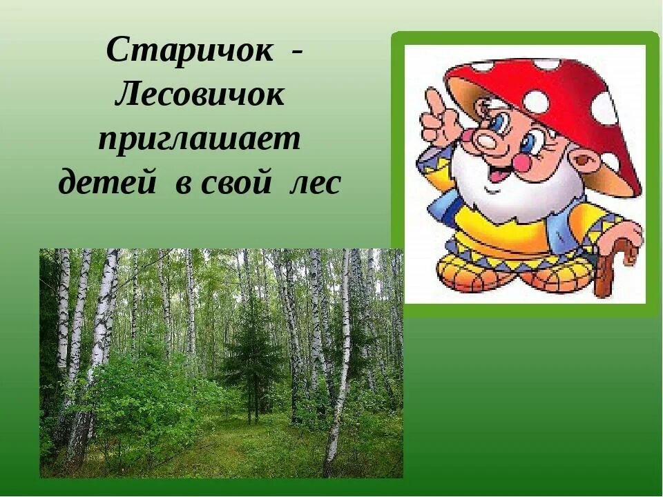 В гостях лесовичка. Лесовичок для дошкольников. Старичок Лесовичок. Лесовичок в лесу. Картинка лесовичка для детей.