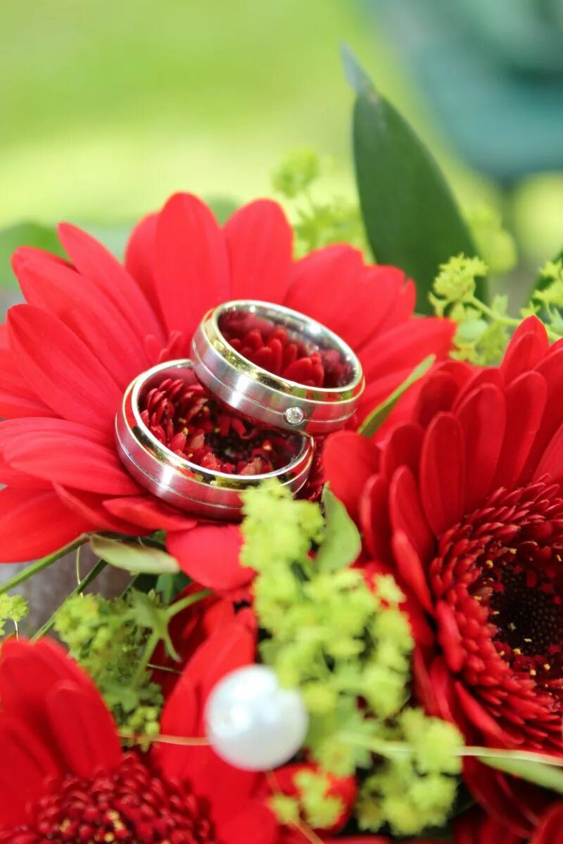 Цветы выйти замуж. Букет цветов с кольцом. Свадебные цветы с кольцами. Букет цветов с обручальными кольцами. Обручальные кольца на цветах.