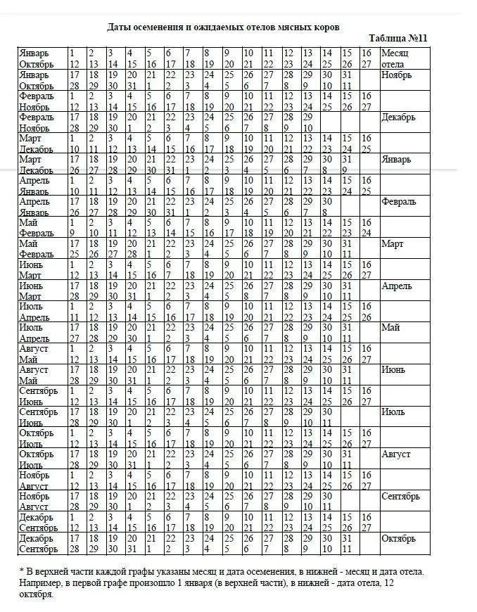 Рассчитать когда забеременела. Таблица осеменения и отела коров даты. Таблица покрытия и отела коровы. Таблица запуска и отёла коров. Календарь стельности коров.