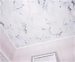 1800 250