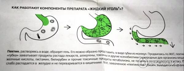 Как работает сорбент. Жидкий уголь для очистки организма. сорбент на основе пектина. сорбент яблочный пектин.