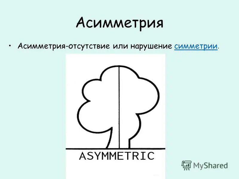 примеры симметрии и асимметрии. симметрия композиция. примеры асимметрии. симметрия и асимметрия в природе. примеры асимметрии.