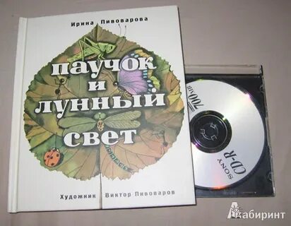 Основная мысль текста паучок и лунный свет
