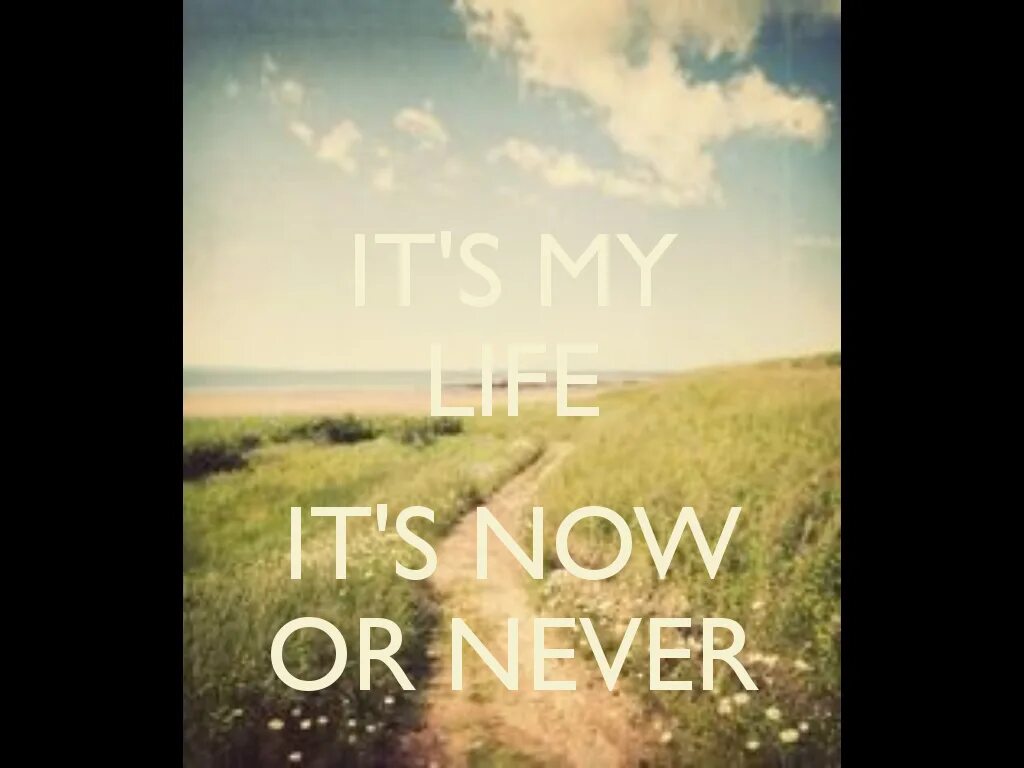 It’s my Life фото. Its my Life природа. Its Now or never текст. ИТС НАУ ор Невер. My life you now