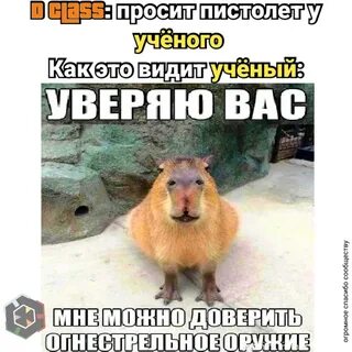 Мем мне можно доверить огнестрельное