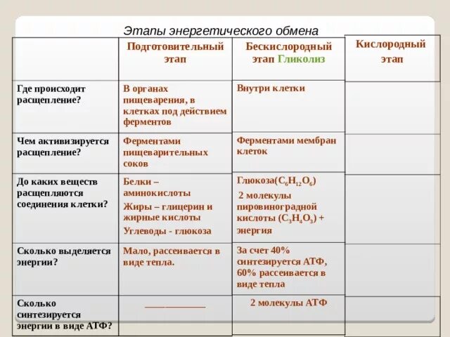 Подготовительный этап окисления. Этапы энергетического обмена гликолиз. Второй этап энергетического обмена гликолиз. Этапы энергетического обмена подготовительный кислородный. Кислородный этап энергетического обмена схема.