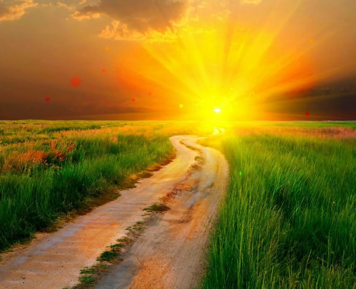 Утром пойдешь. Солнце на дороге. Солнечная дорога. Светлая дорога. Дорога, освещенная солнцем.