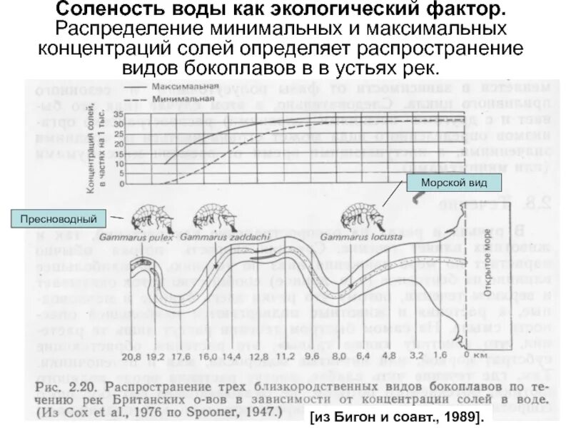 Соленость какой фактор. Соленость какой фактор