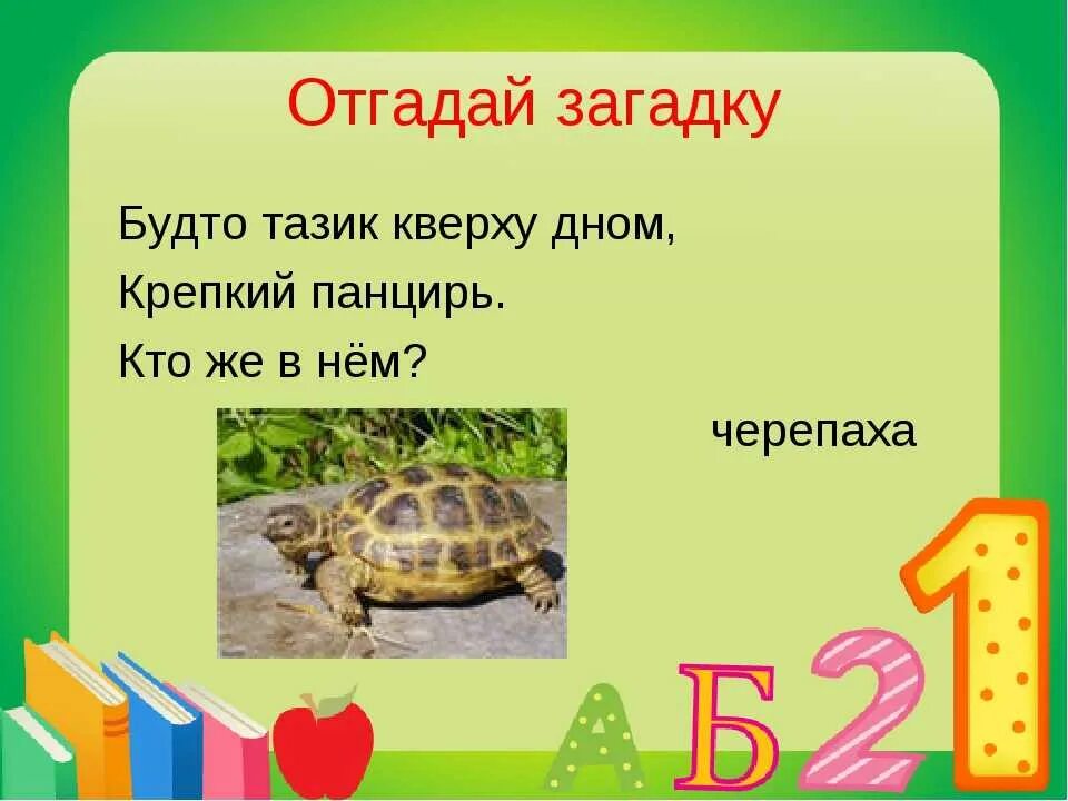 Черепаха какие звуки. Загадка про черепаху. Загадки про черепах. Загадка про черепаху для детей. Загадка про черепашку.