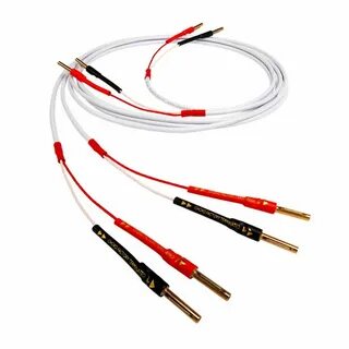 Chord company