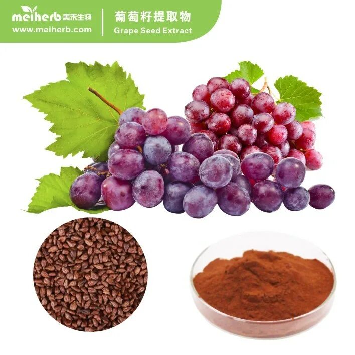 Применения винограда. Grape Seed extract. Grape Seed extract порошок. Масло виноградной косточки Santangelo grape Seed. Vitis vinifera grape Seed Oil в косметике.