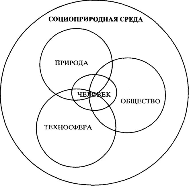 Жизненная среда общества