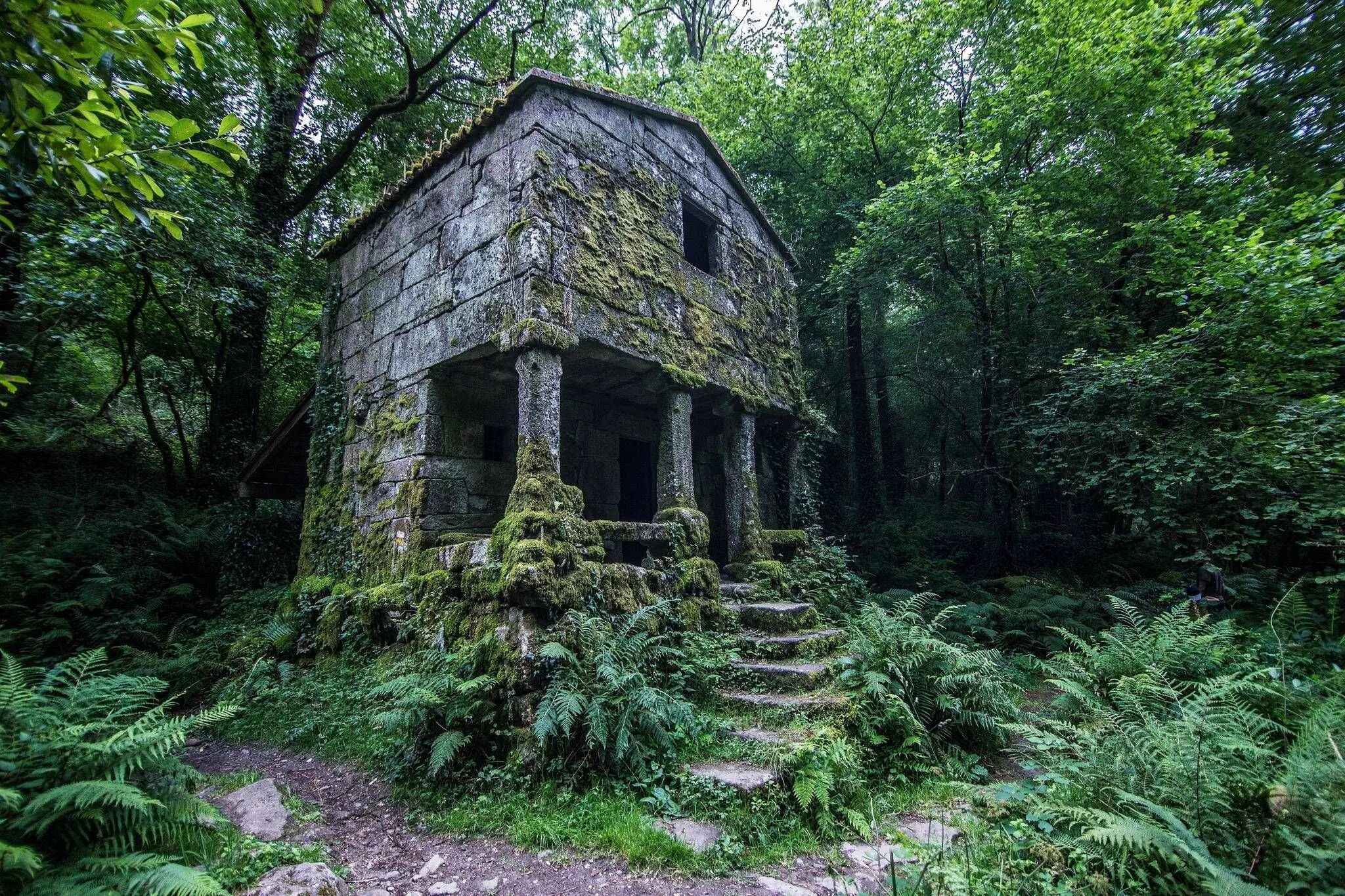 Каменный домик мыс Рудковская. Ирландия замшелый замок. Замшелый лес руины. Заброшенный особняк Джанхот. Загадочные формы