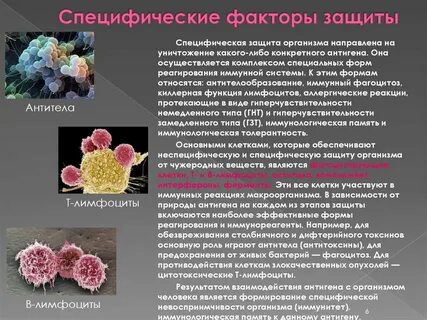 Специфические факторы защиты