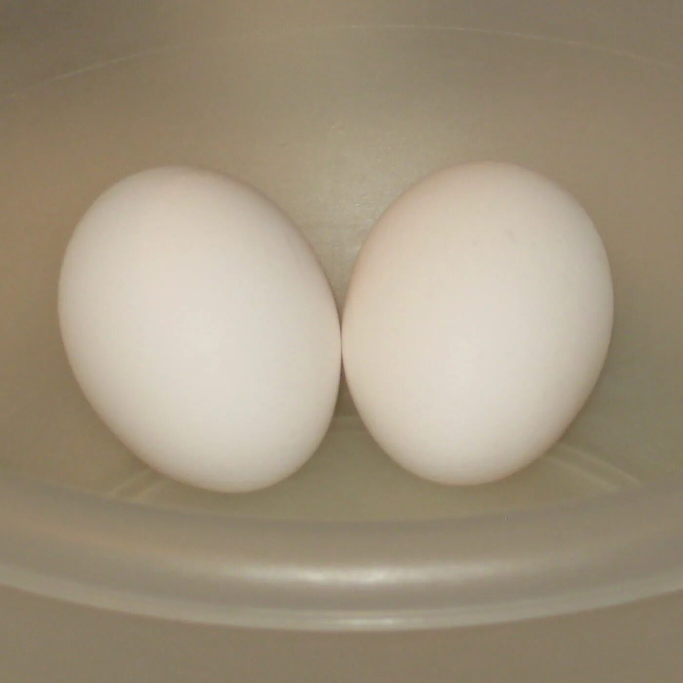 Two eggs. 2 Яйцоголовых. Два яйца. Двойное яйцо. 2 Куриных яйца.