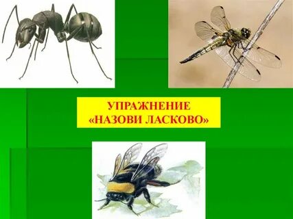 Упражнение назови ласково