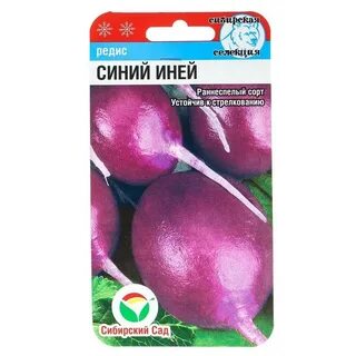 Синий иней новое
