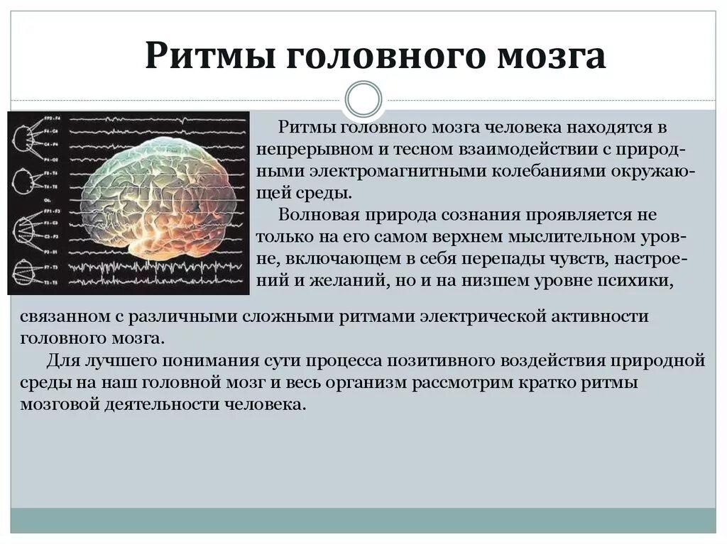 Ритмы головного мозга. Гамма ритмы головного мозга. Альфа ритм мозга. Бета ритм головного мозга.