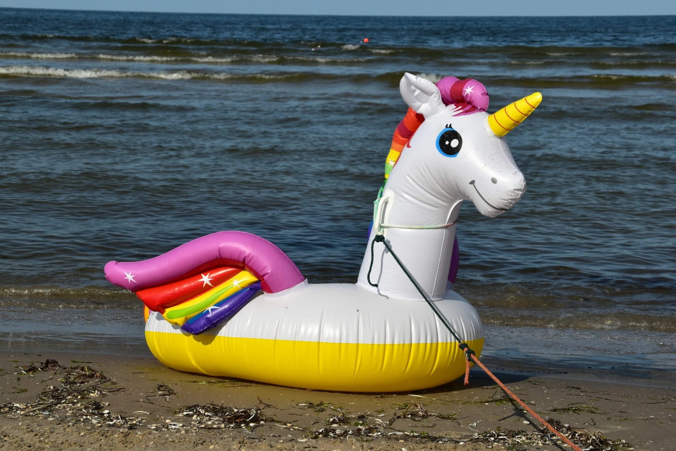 Можно ли в запрет плавать на лодке. Надувные плавсредства. Надувные игрушки для моря. Катамаран надувной. Надувной круг Единорог в Анапе в Питере.