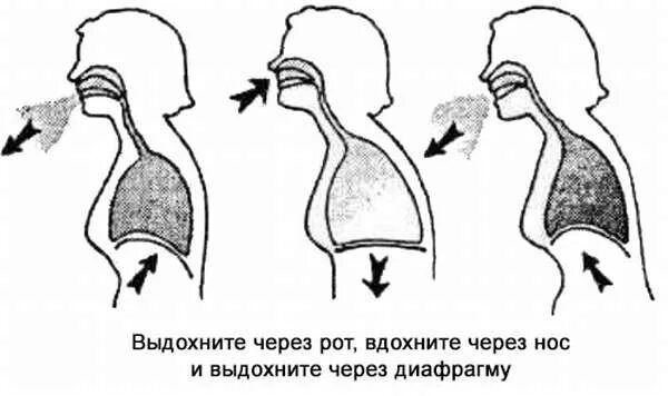 Резкие вдохи носом. Вдох носом выдох ртом. Упражнения для ротового выдоха. Вдыхать через нос выдыхать через рот. Правильное дыхание.