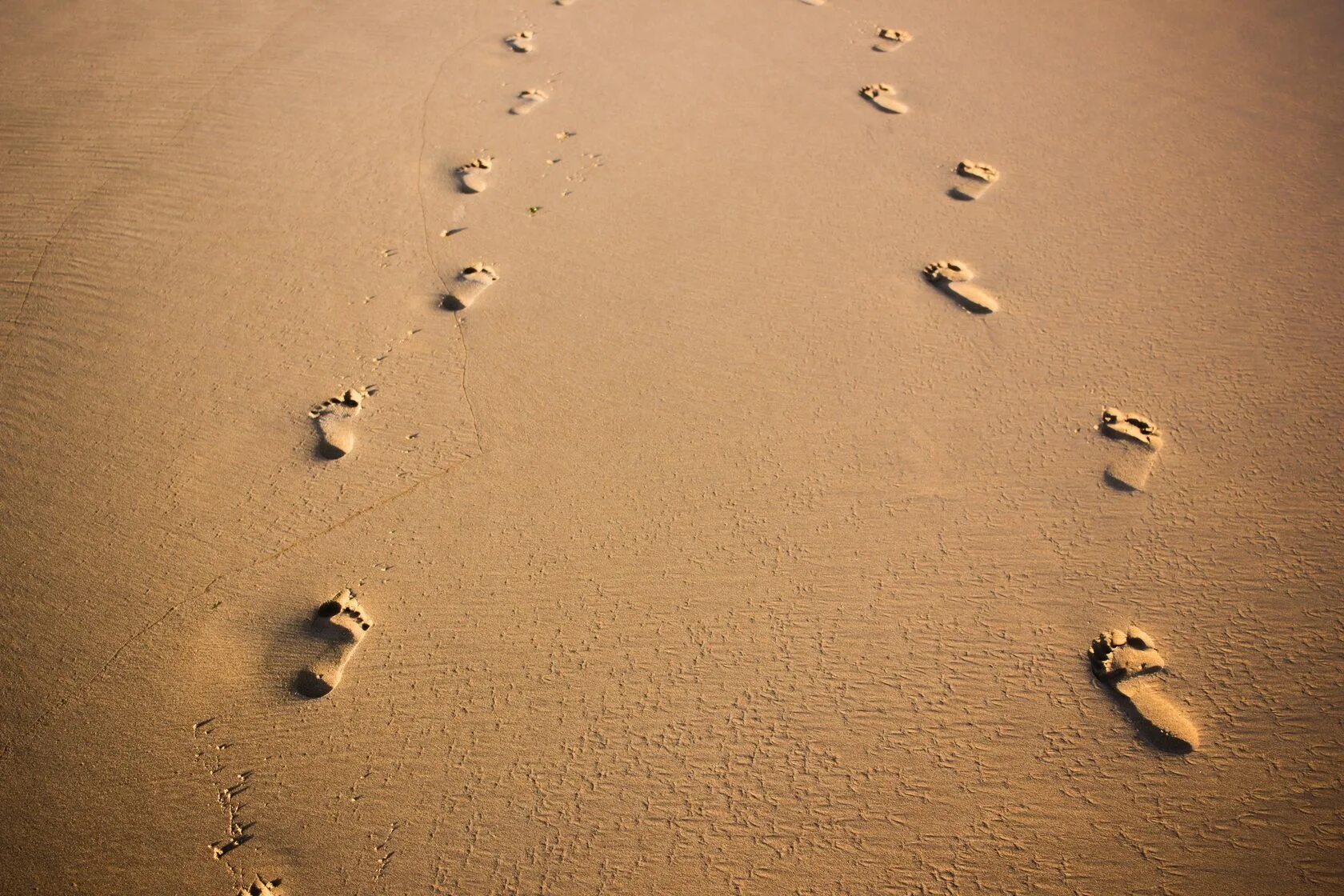 Текст следы на песке. Следы собаки на песке. Следы ног и собачьи на песке. След бегущей собаки на песке. Пустыня пляж.