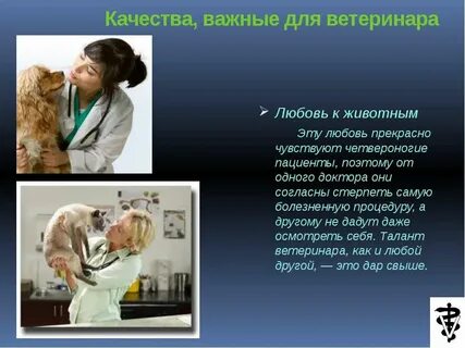 Ветеринар чем эта работа полезна обществу