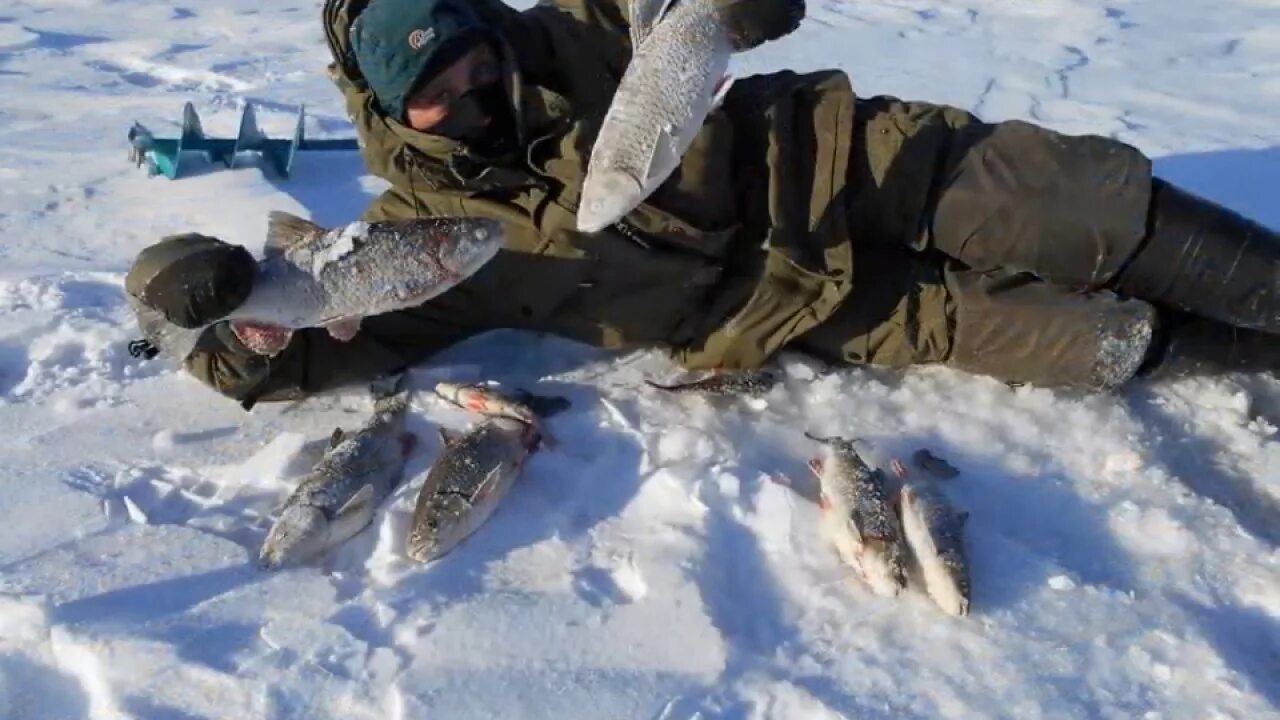 Рыбалка на волге зимой. Зимняя рыбалка в самарской. Зимняя рыбалка. Зимняя рыбалка в самаре. Зимняя рыбалка в самарской.