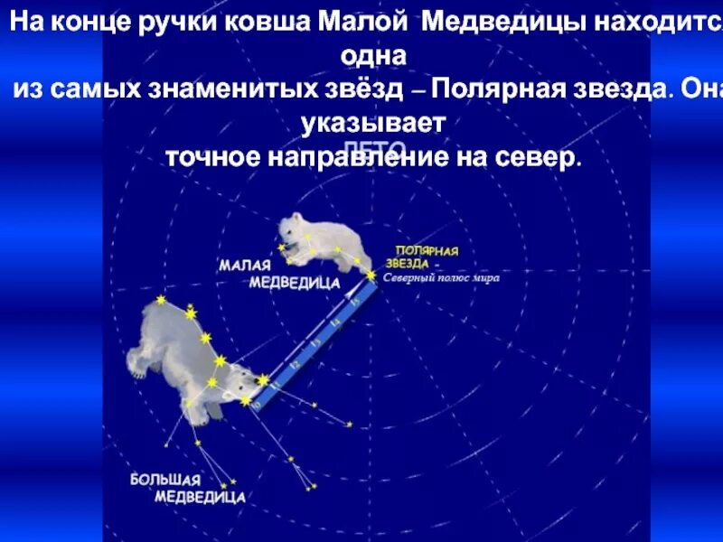 Какая звезда указывает направление. Какая звезда указывает направление