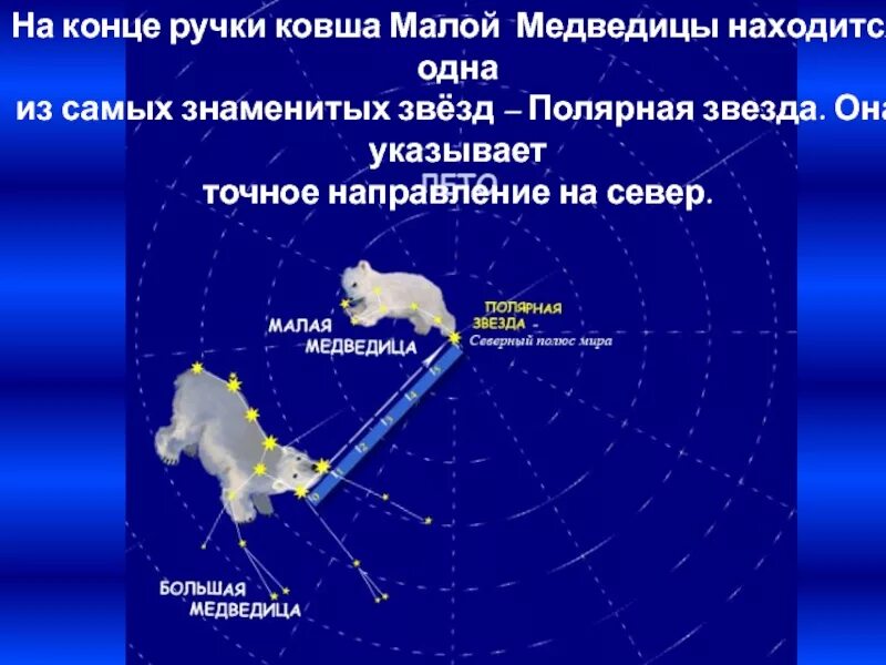 Придумай сказку о созвездиях весеннего неба запиши. Сказка о Созвездие малой медведицы и полярной звезде. Созвездие малая Медведица и Полярная звезда 2 класс. Сказка о созвездии малой медведицы и полярной звезде второй класс. Рассказ о созвездии малой медведицы.