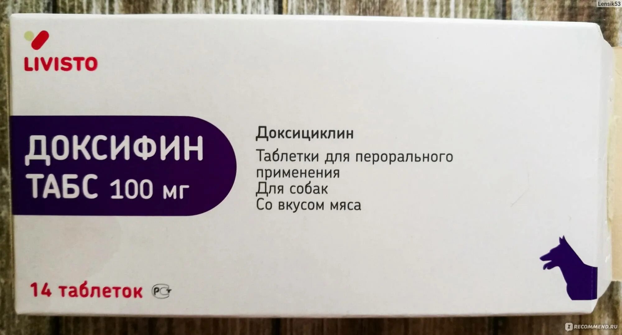 Доксифин для кошек 50 мг. Доксифин для кошек 100мг. Доксифин для собак. Доксициклин собаке дозировка.