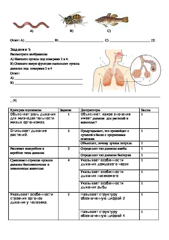 Сор 3 биология 9 класс. Соч биология 7 класс 2 четверть. Сор по биологии 7 класс 2 четверть. Сор биология 8 класс 2 четверть. Биология+сор+7+класс+2+четверть.