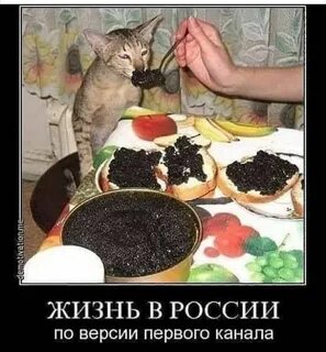 Есть что то посмешнее