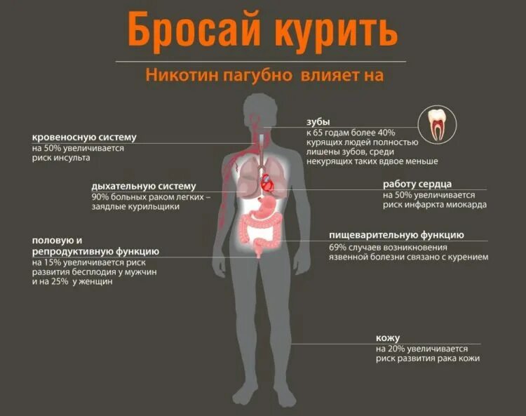 Влияние курения табака на системы органов. Курение влияние никотина на организм. Влияние табакокурения на организм человека. Никотин влияние на орг.