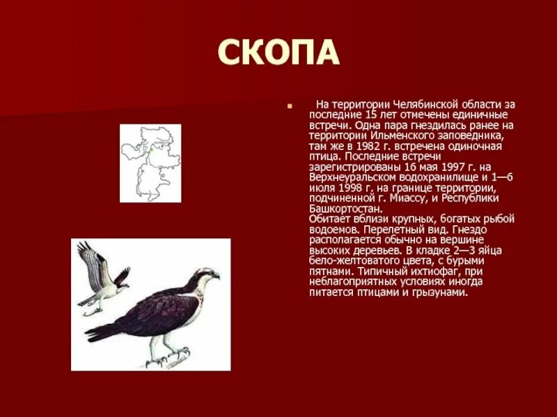 DataLife Engine Версия для печати Животные красной книги челябинской области для