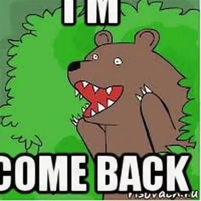 Come back Мем. Медведь Мем. I`M come back. Мемы с медведем. I can 39