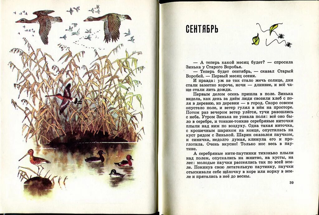 Синичкины рассказы бианки. Сказка синичкин календарь бианки. рассказ бианки синичкин календарь. бианки синичкин календарь книга.