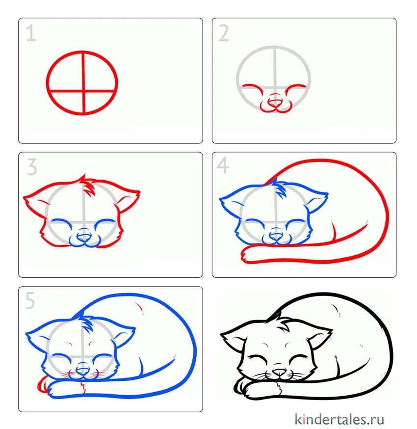 Рисовать поэтапно котиков. Рисование кошки по схеме. Как рисовать котов поэтапно. Рисунок кошки для начинающих. Котенок схема рисования.
