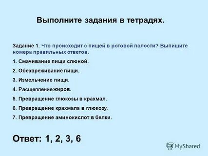Впишите номера правильных предложений
