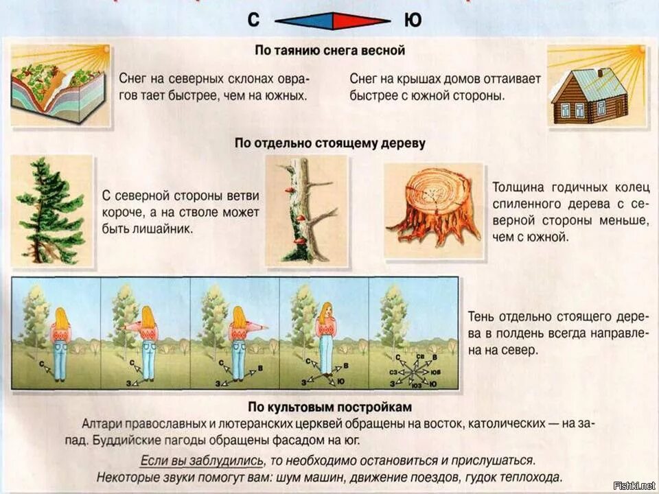 Ориентирование наместносьи. Ориентирование на я местности. Способы ориентирования на местности. Умение ориентироваться на местности это.