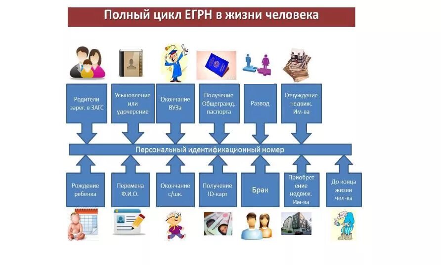 Фгис моя школа зарегистрировать ребенка. Схема егрн. структура фгис егрн. единый реестр населения. егрн презентация.