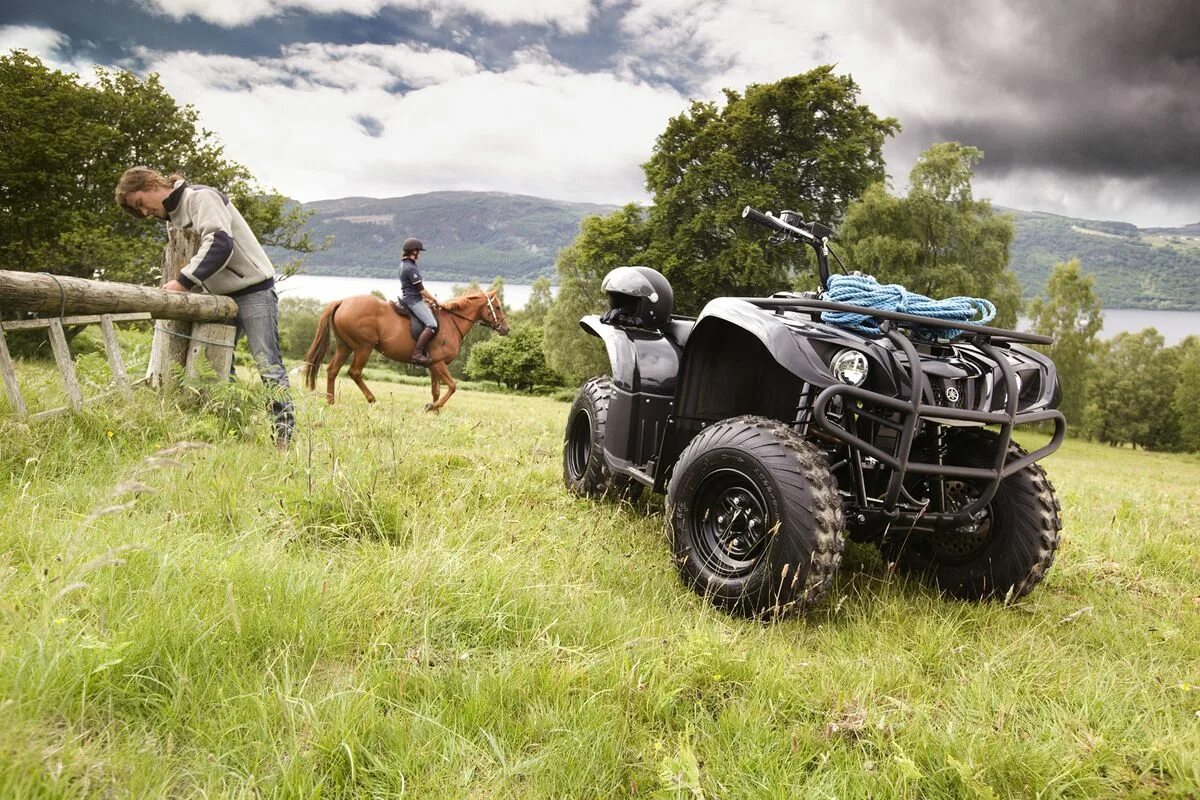 Yamaha big bear 350. Квадроцикл yamaha grizzly 250. 2001 yamaha bear tracker 250. Bear 250. Yamaha big bear 600.