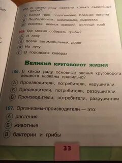 Цветок на земле тест 3