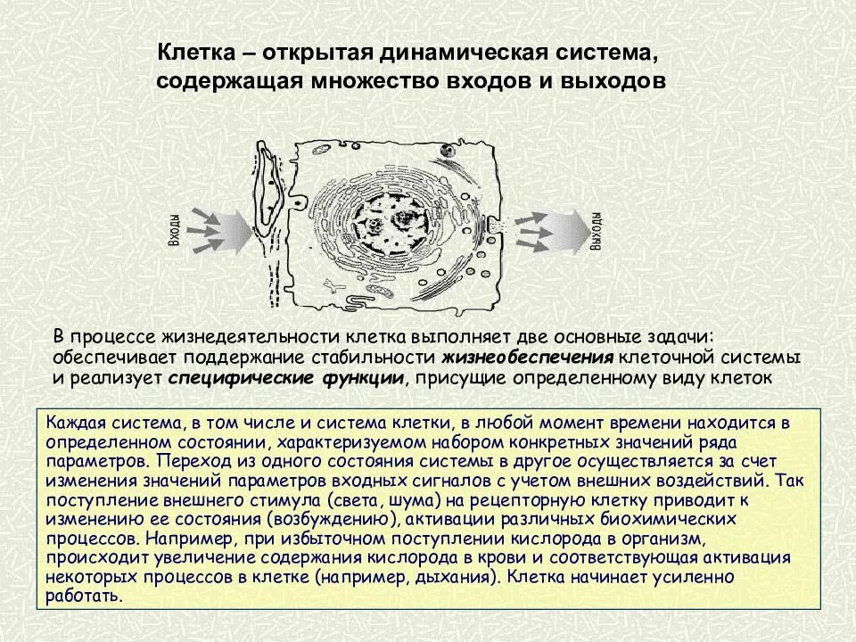 Положение каждая клетка из клетки. Клетка открытые системы. системы жизнеобеспечения клетки. клеточная система. клетка открытая система схема.