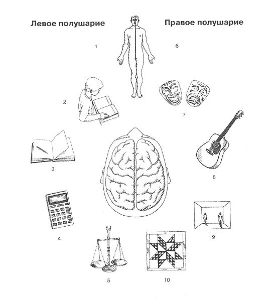 Полушарие интроверта приложение. Левое и правое полушарие. правое полушарие интроверта. левое полушарие интроверта. что такое гачимучи правое полушарие интроверта.
