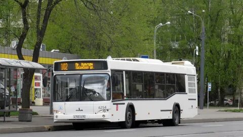 Автобус 486 спб