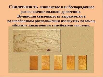 Волокна древесины
